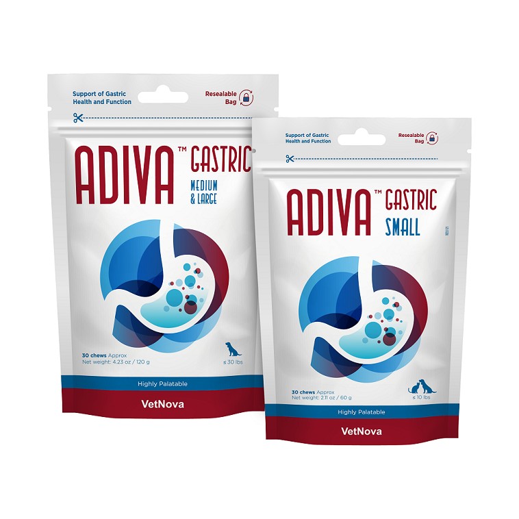 ADIVA GASTRIC BODEGON