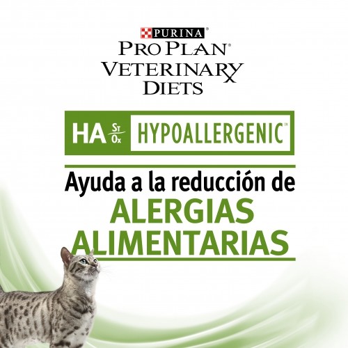 GATO HIPOALERGENICO