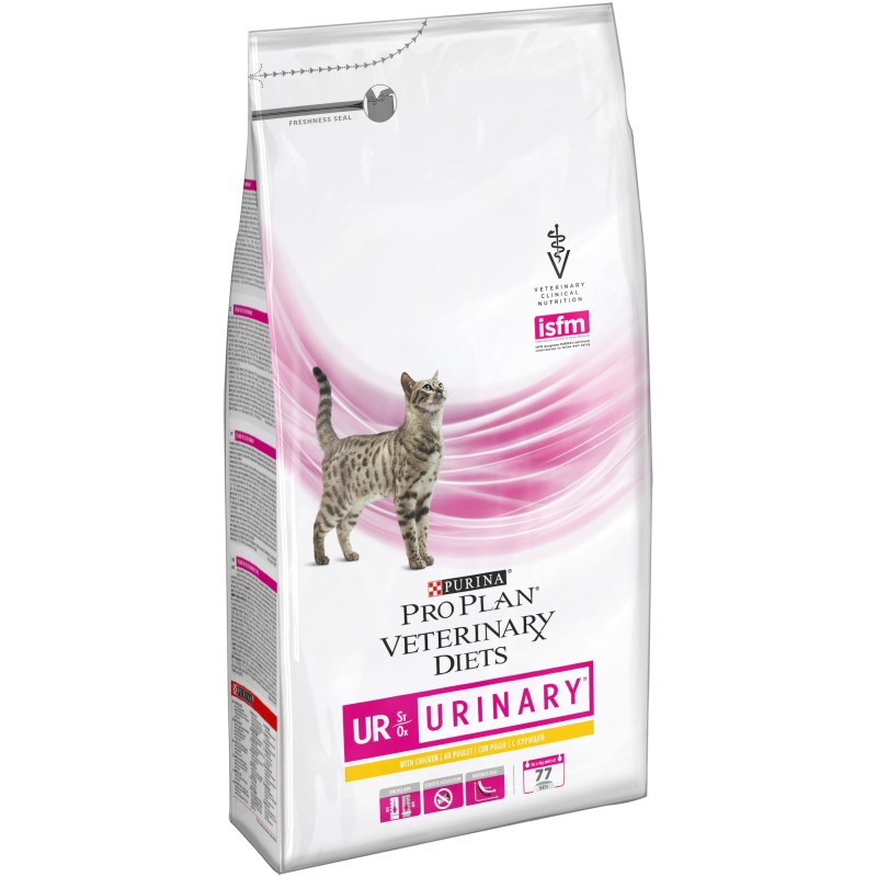 GATO SECO URINARIO