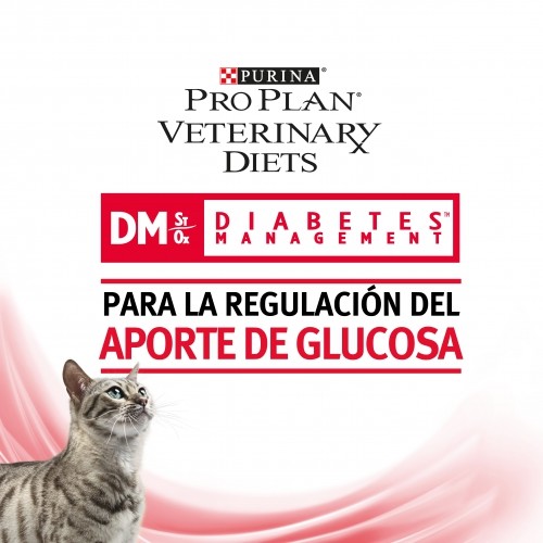 GATO HUMEDO DIABETES