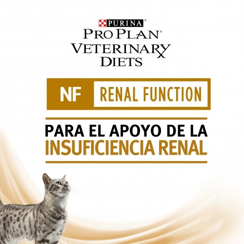 GATO HUMEDO RENAL