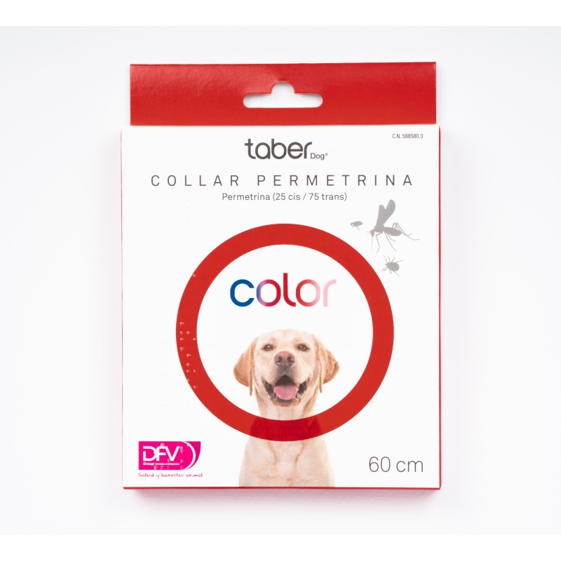 TABERDOG COLLAR COLOR