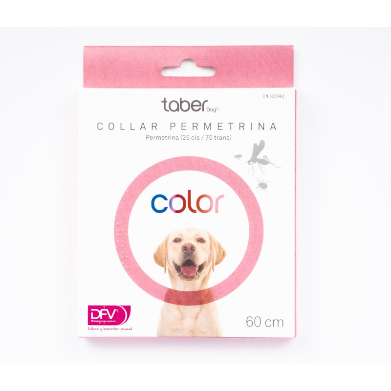 TABERDOG COLLAR COLOR