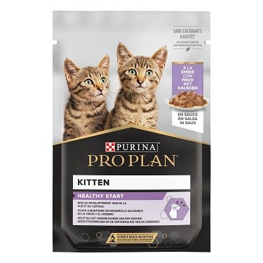 PRO PLAN KITTEN GATO