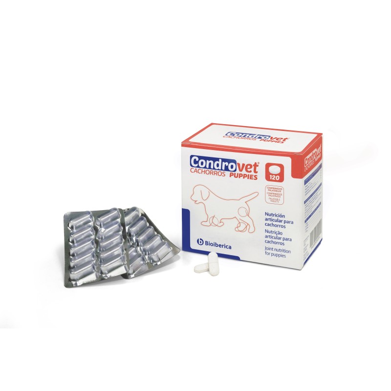 CONDROVET CACHORROS 120 COMP