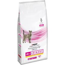 GATO SECO URINARIO