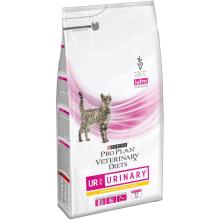 GATO SECO URINARIO 