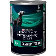 PERRO HUMEDO EN GASTRO