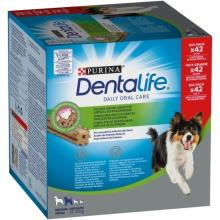 DENTALIFE M MEDIUM 42