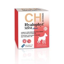 HYALOPHYT MSM GIANTS